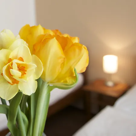 Hotel Karlin-3